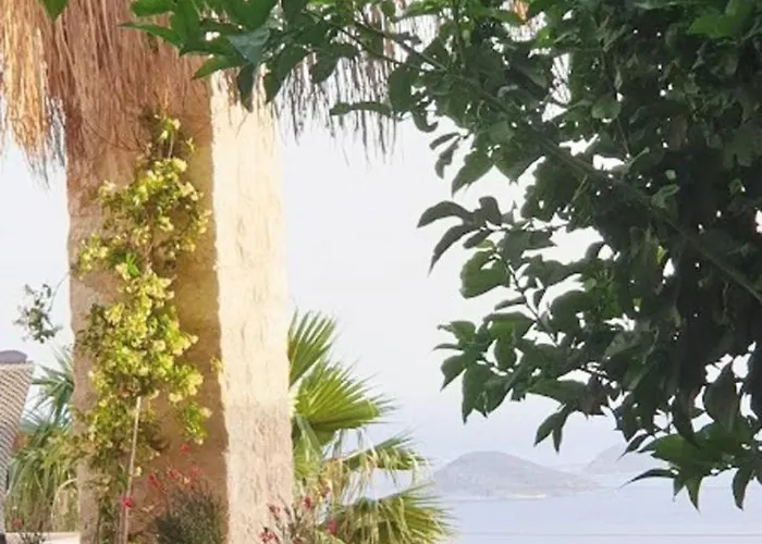 Rubick, A Piece Of Ancient Lycia Kaş